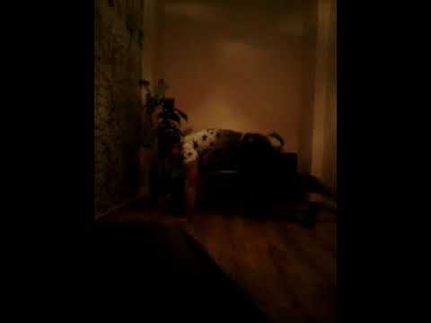 GALIN ft. ADNAN BEATS & DESSITA - TEXAS PLACE / OGI VERSIYA  2018