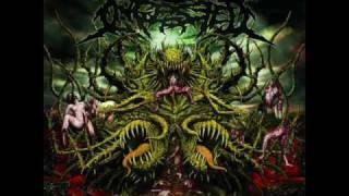 Ingested - Pre-Released Foetal Mush