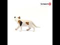 Schleich figūrėlė Amerikos trumpaplaukė katė