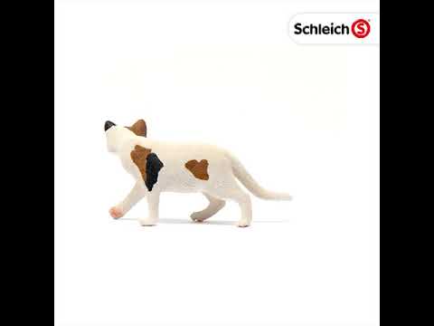 Schleich figūrėlė Amerikos trumpaplaukė katė video