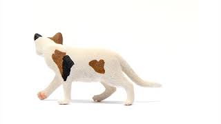 Schleich Mačka americká krátkosrstá