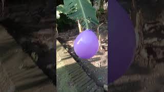 Download lagu BALON MELETUS #shorts #balonmeletus #dj mp3