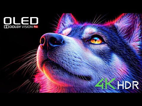 Premium 4K HDR Showcase | Dolby Vision 60FPS