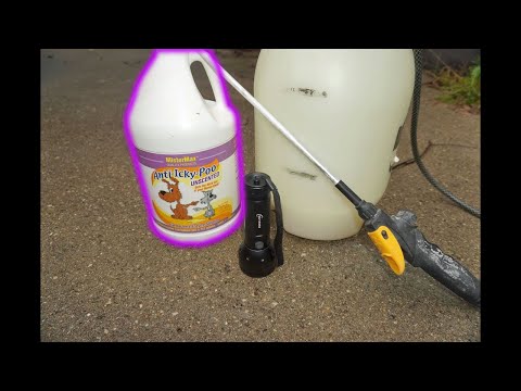 How To Get Rid Of Cat Pee Smell - CHEAP and EASY