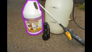 How To Get Rid Of Cat Pee Smell - CHEAP and EASY