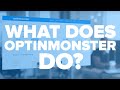 What Does OptinMonster Do? - OptinMonster Demo