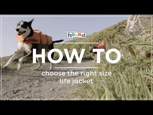 Premium Dog Life Jackets