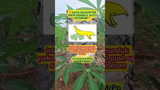 Download lagu Gaya helikopter yg lagi viral #fyp #viral #motivasi mp3 Download lagu Gaya helikopter yg lagi viral #fyp #viral #motivasi mp3