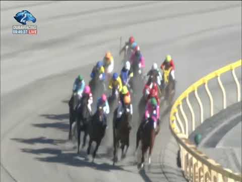 2018.02.18 Hyacinth Stakes (JPN) - Sumahama
