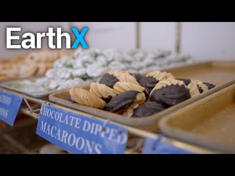 A Family Affair | Bike to Bites | EarthX