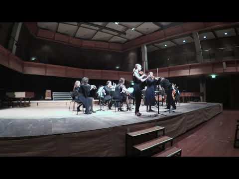 W.A.Mozart. Sinfonia Concertante. Judith van Driel, Evgeniya Peschanskaya and Mikhail Zemtsov