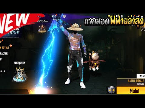 ฟีฟายฟรี