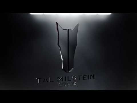 Tal Milstein Stables – Logo reveal