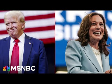 ‘Channel economic anger’: How Democrats can reach working class voters