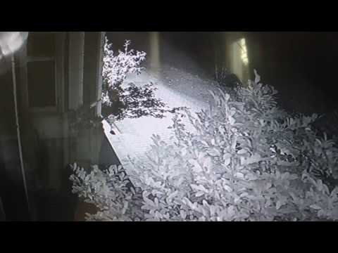 Attacke auf türkische Organisation in Köln-Porz