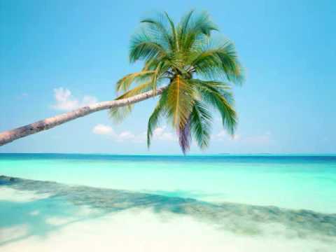 Dreas vs. Alex Robert - Mormugao