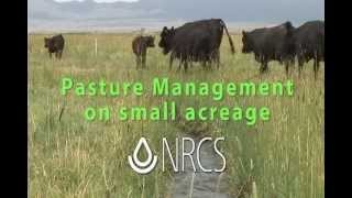 Small Pasture Management cc