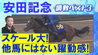 「気になるもう１頭は人気薄の…！」ガイアフォース、ステレンボッシュ、パンジャタワー・・・競馬エイト・高橋賢司トラックマンの調教解説＜安田記念(ＧⅠ)＞