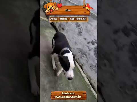 Vídeo de Bior