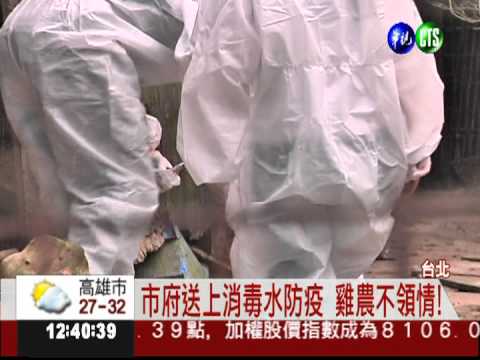 北市. 新北防疫 雞農怨管控太慢!