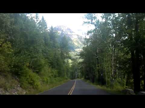 GALACTIC - BONGO JOE