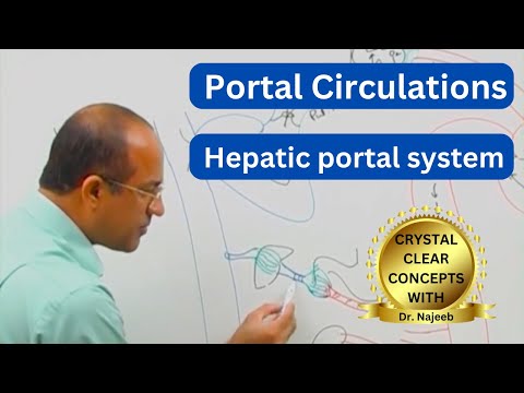 Portal Circulation | Digestive Tract Liver and Kidneys 👨‍⚕️
