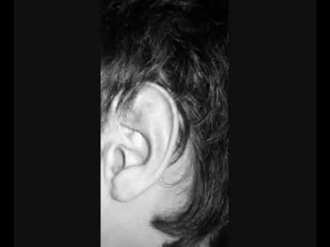 Hipertexto 15 - Muestra Fotográfica Filminuto. Cuerpo