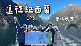 New Zealand Campervan Trip | Milford Sound Day Tour with Dolphins 🐬 + Queenstown Stay Tour