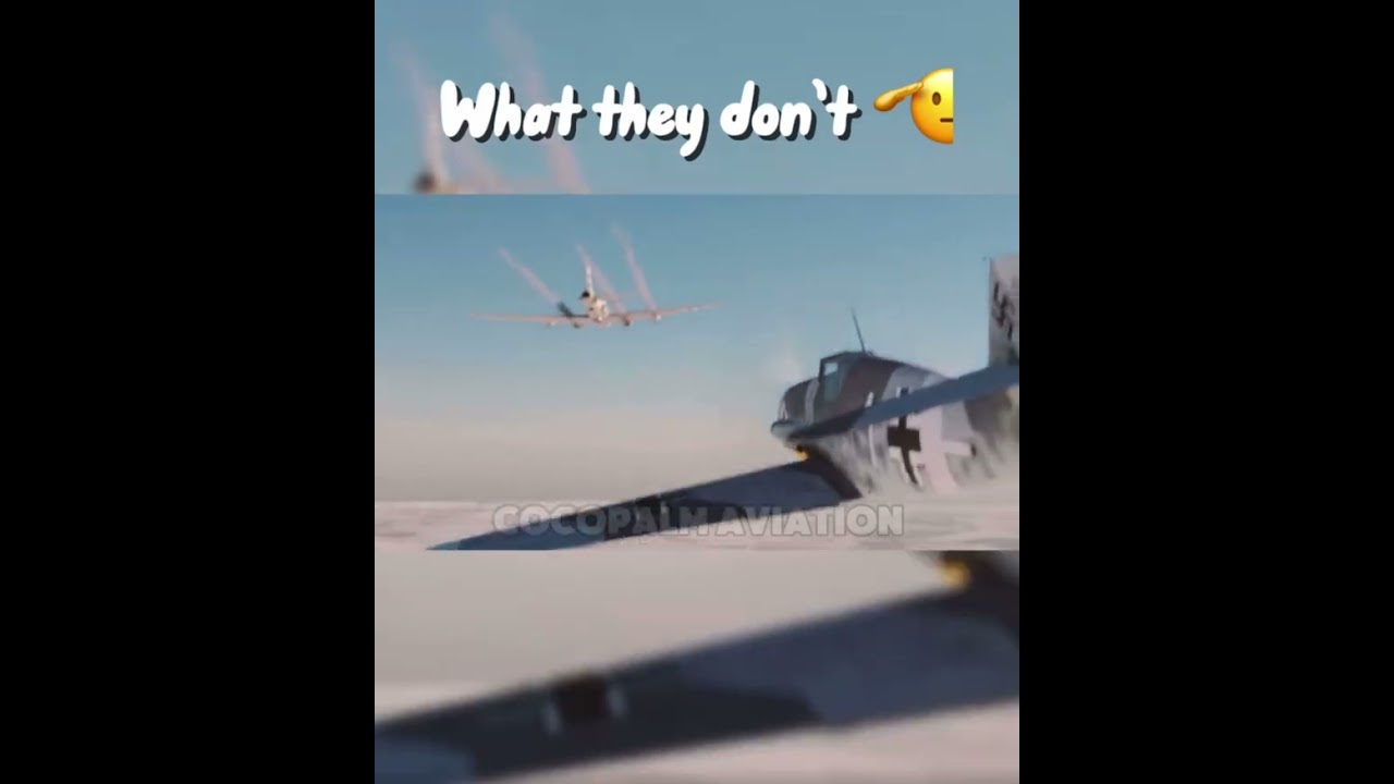 What They Don’t.. #aviation #planes #edit #ww2 #sad #war