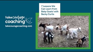 Baby Goats: 7 Lessons For Dealing With Chronic Pain