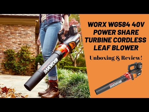 Akumuliatorinis pūstuvas Worx WG543E.9 20V E.9 LEAFJET, be baterijos ir įkroviklio, 6943475862602 video