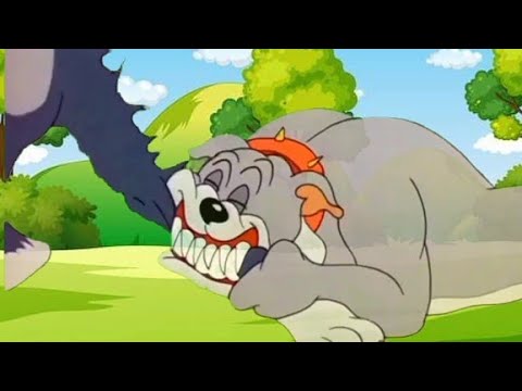 Tom and Jerry | Tom and Jerry Bangla | cartoon | Tom and Jerry cartoon | bangla Tom and Jerry