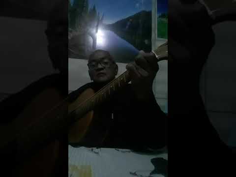 Luz Do Meu Caminho video