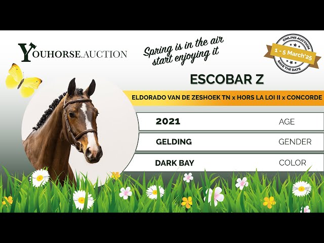 Escobar impression video