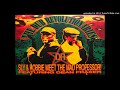 Sly & Robbie Meet The Mad Professor - Finger On The Pulse   2003