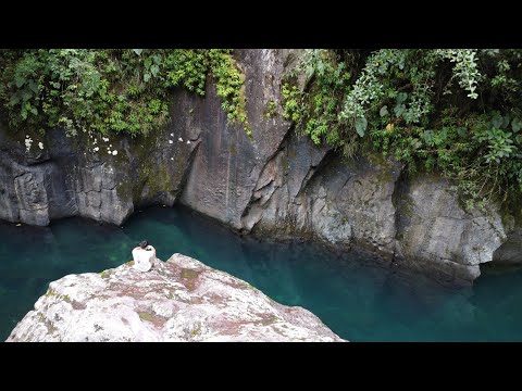 Documental: Huellas de Identidad - La historia del Iguanodon de Santa María, Boyacá