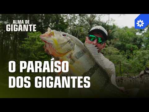 100 SEMANAS NA AMAZÔNIA