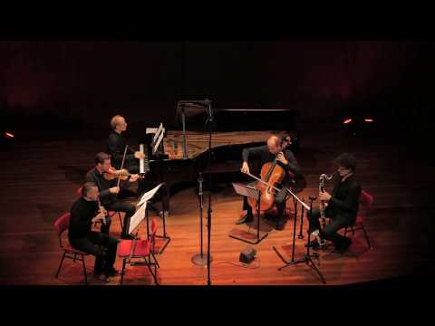 Bram Van Camp - Music for 5 instruments (fragment)