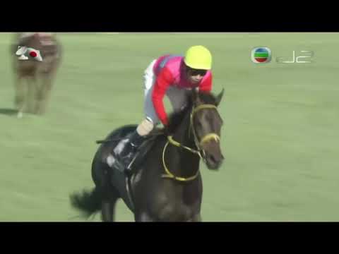 2016 Katsuura Tokubetsu - Peisha Felicita (樂不可支) - M.Matsuoka