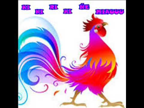 La Parranda De Los Amigos El Gallo Remix * A la Cintura Se Le Da * Tambor Intro * Dj Tiburón