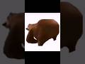 Top 5 Scariest Jumpscares Meme