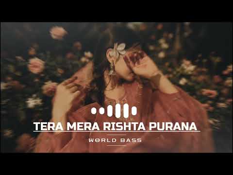 World Bass - Tera Mera Rishta Purana ( Female ReMix Version ) | Bollywood Hindi Remix House Mix