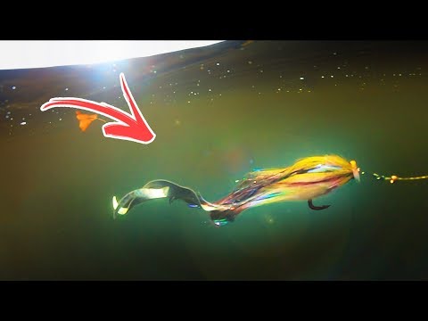 Tie TV - Bauer’s Waterpushing Pike Fly 🐁🐉 (inspired by Miuras Mouse)