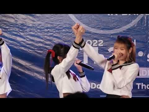 Sumomo (Puifaii Focus) - Flower 27/11/2022