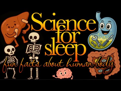 Science For Sleep💤'Fun Facts About Human Body'💤Bedtime Story For Grown Ups💤 Documentary Sleep Story