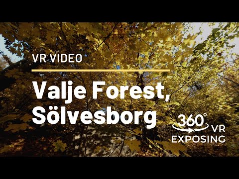 Valje Forest Sweden