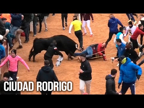 Se Caen Delante del Toro Ciudad Rodrigo 2025