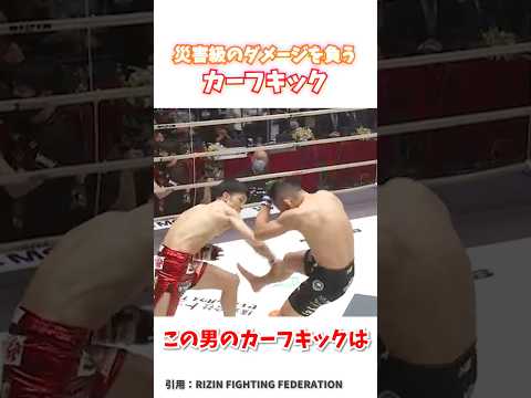 災害級のダメージを与えるカーフキック #格闘技 #mma #rizin #カーフキック