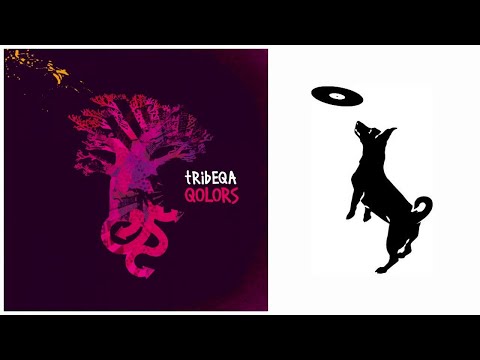 Tribeqa - Phatz