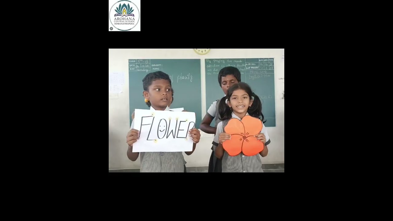 🌱 Grade 3 Science Activity – Parts of  Plants 🌿